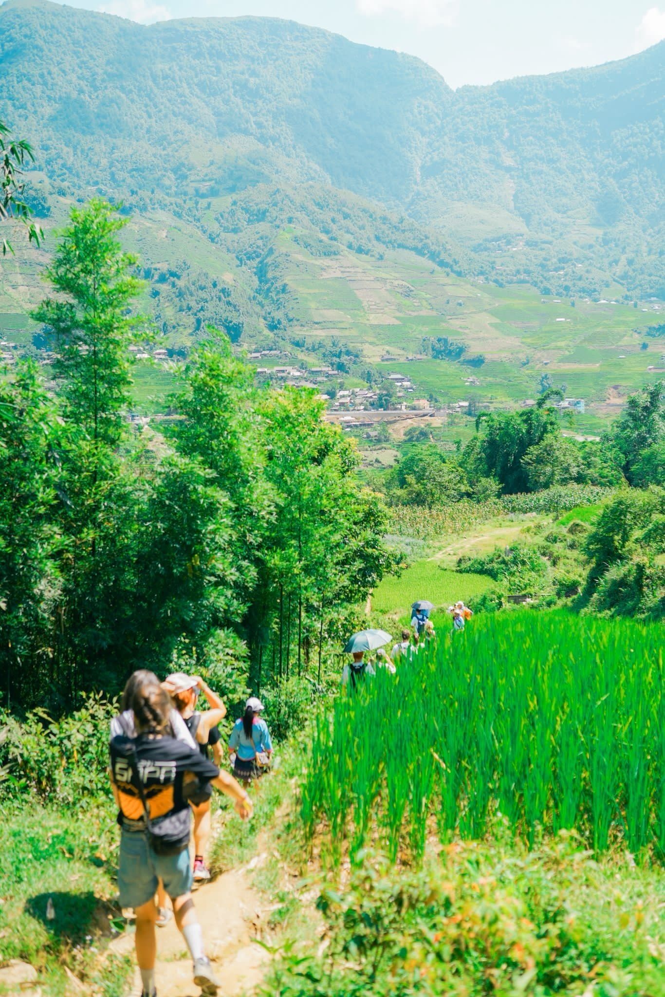 Un grupo de personas caminando por un sendero rodeado de vegetación exuberante y campos de arroz, con montañas al fondo.