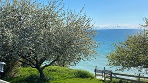 A wooden deck leading to a grassy area with a tree and a view of the sea. - Huron Lakefront Cottage Charming 8 bedrms 4bths 18+guests 8car/Hotub/pets . (Goderich)