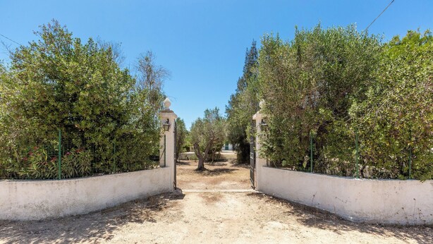 A pathway leading through a garden with trees and a white wall on either side. - 4085 Villa Teresa Portoselvaggio by Barbarhouse (Nardò)