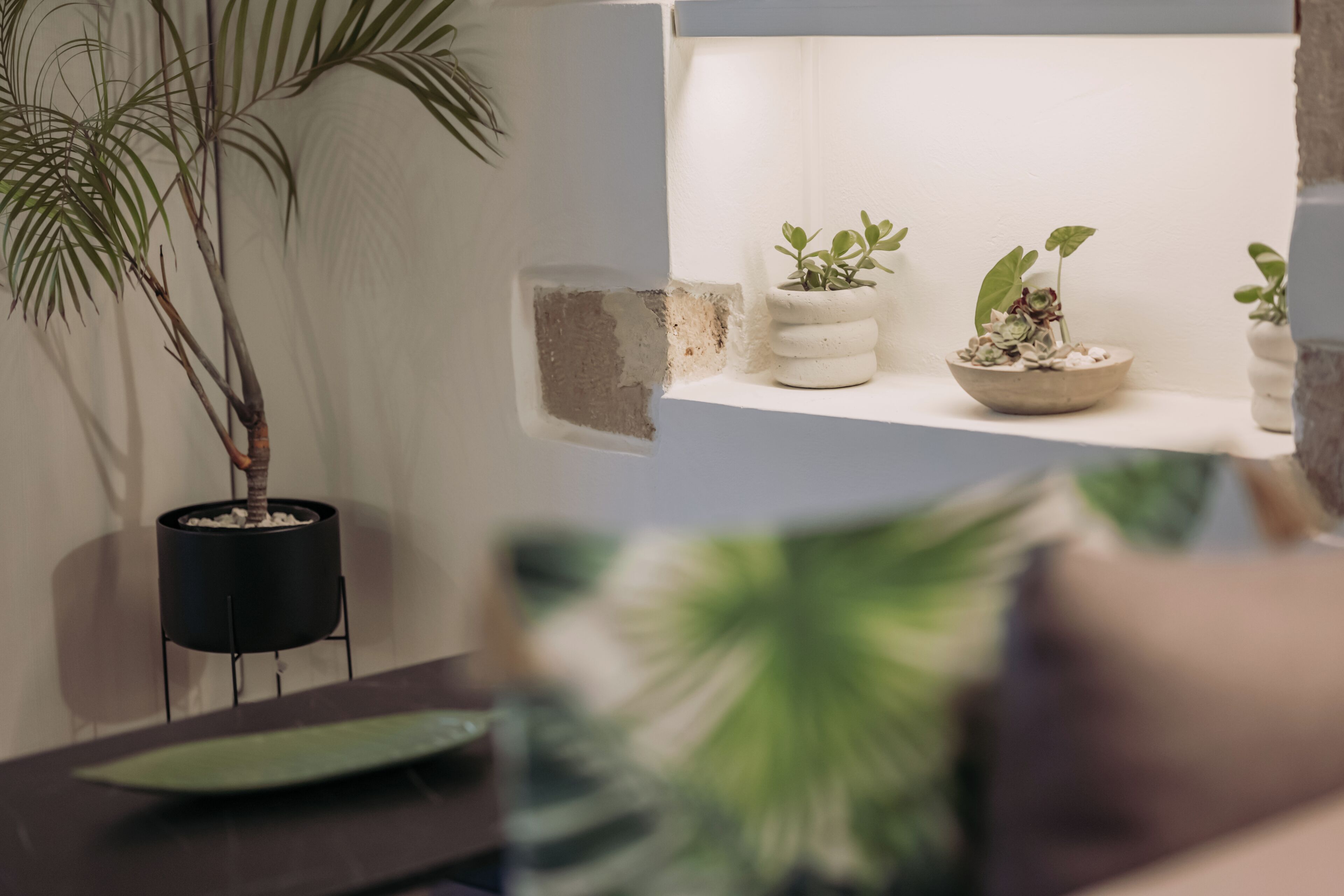 A plant arrangement on a shelf with a potted plant on the left and three smaller pots on the right.
