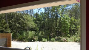 Una finestra con vista su un giardino e un pontile in legno.