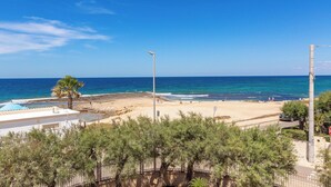 Μια παραθαλάσσια θέα με καθαρό ουρανό, μια φοινικιά και ένα κτίριο με μπλε στέγη.