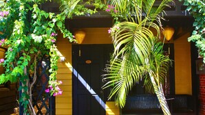 A yellow building with a black door, a bench, and a palm tree. - Sabina Boutique Hotel & Villa Mui Ne (Mui Ne)