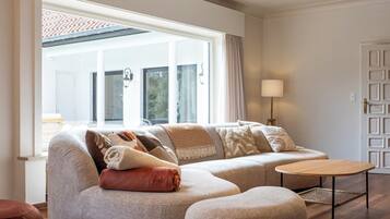 Smart TV, fireplace, books, stereo
