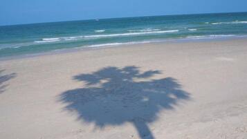 A beach with a palm tree casting a shadow on the sand.
