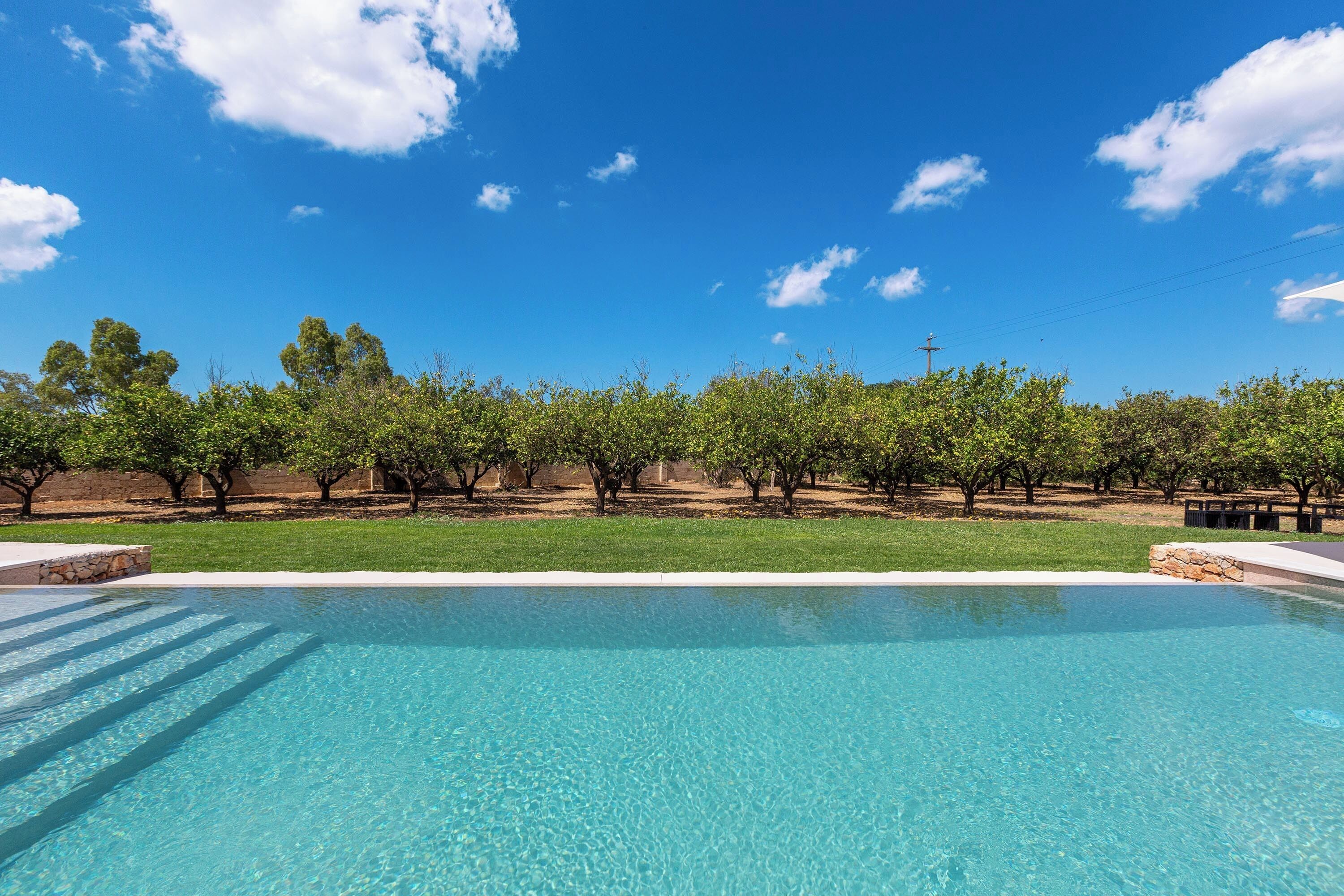 A clear blue pool with a stone edge, surrounded by a grassy area with trees and a clear sky.