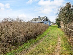 A rural pathway leading to a blue house with a chimney, surrounded by dense shrubbery and a clear sky. - 4 Star Holiday Home in Vestervig (Vestervig)