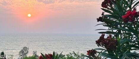 A sunset over the sea with red flowers in the foreground.