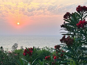 Un coucher de soleil sur la mer, avec des fleurs rouges au premier plan.