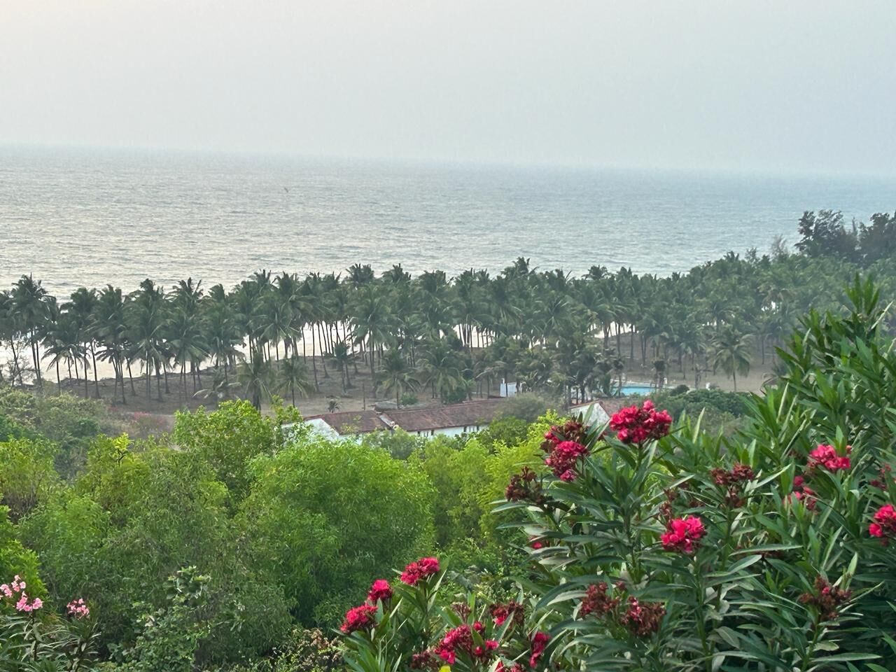 Une vue sur la côte, avec des palmiers, une plage et un bâtiment doté d’un toit rouge.