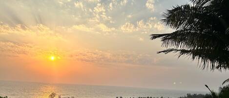 A sunset view over the ocean, palm trees, and a distant shoreline.