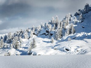 A snow-covered mountain landscape with trees and a clear sky.