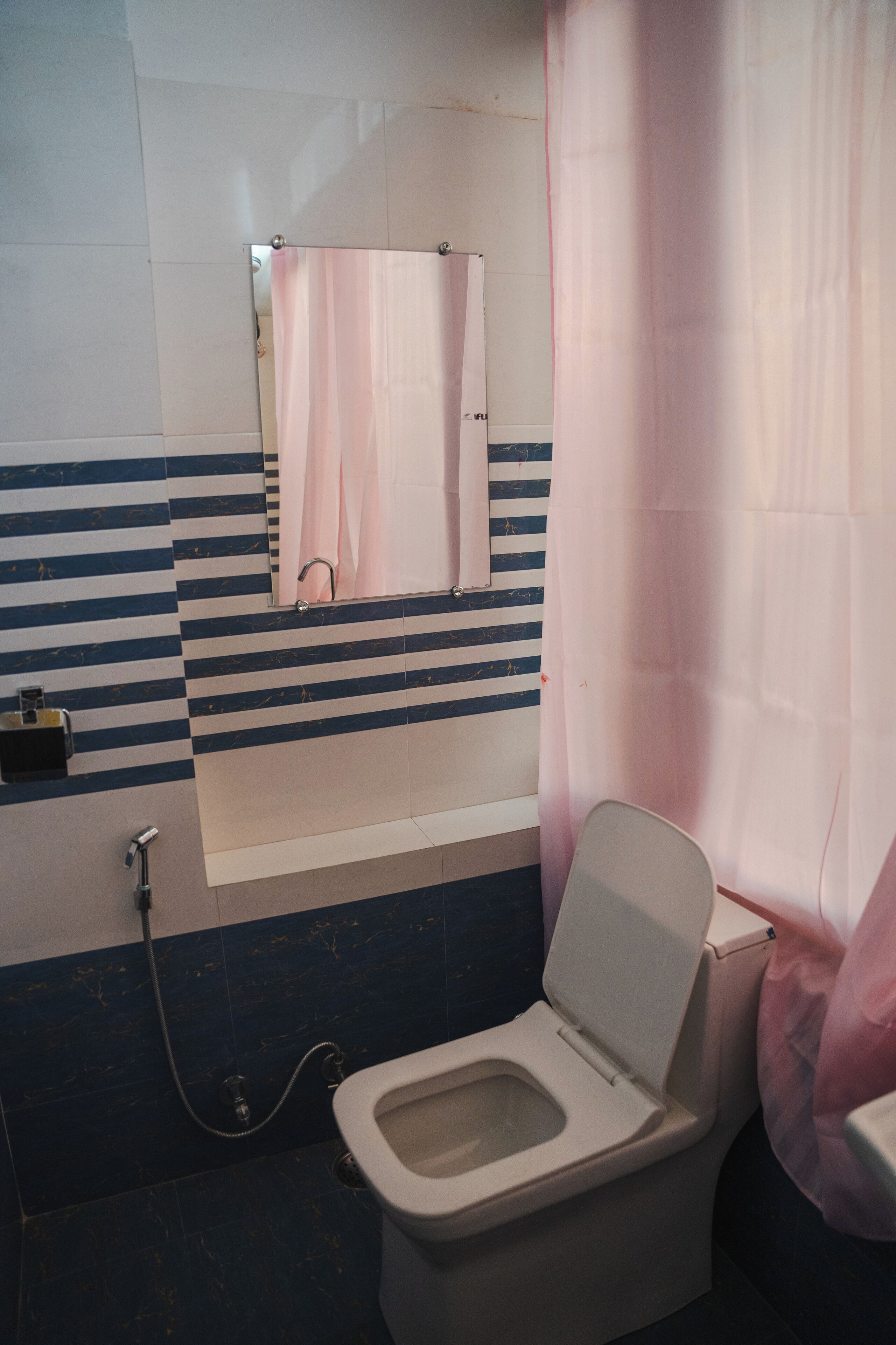 A bathroom with a toilet, a sink, and a shower curtain.