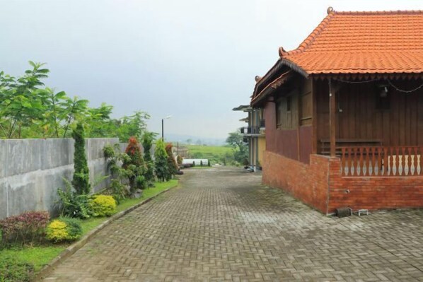 Vườn