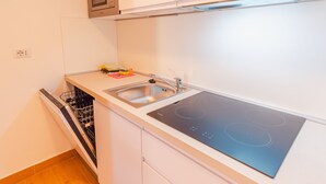 Eine kompakte Küche mit integriertem Geschirrspüler, einer Edelstahl-Spüle und einer modernen Induktionskochplatte.