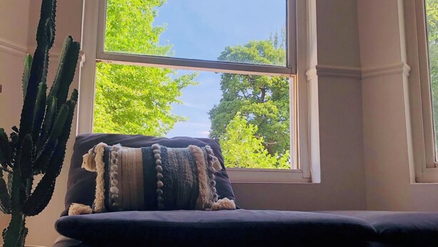 Une pièce avec une grande fenêtre, un cactus et un canapé agrémenté d’un coussin décoratif.