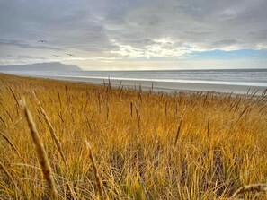 På stranden