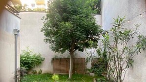 Un petit jardin clos, avec un arbre, des plantes en pot et une clôture en bois.