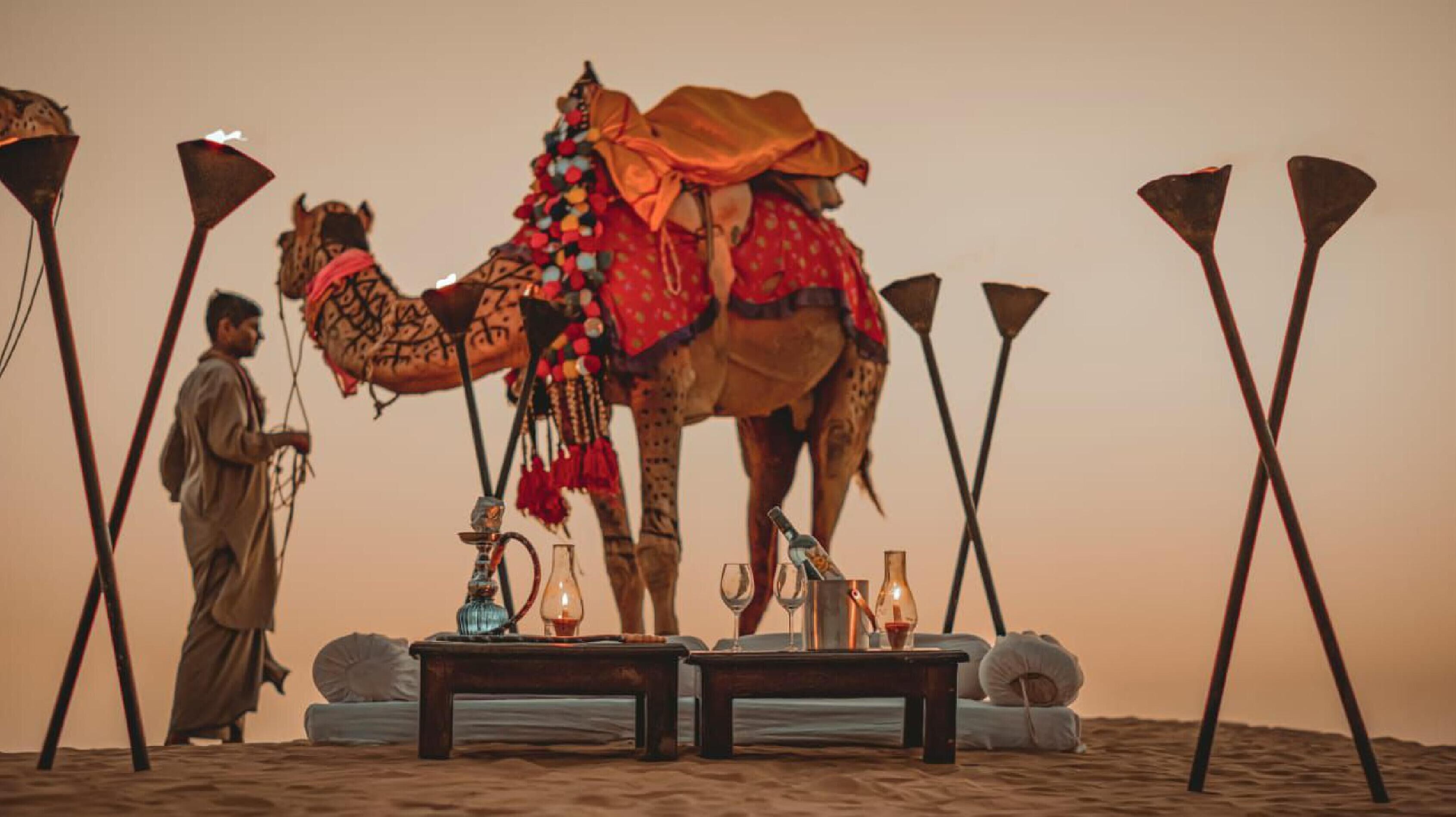 Un chameau avec son cavalier, entouré d’éléments de décoration et de meubles traditionnels.
