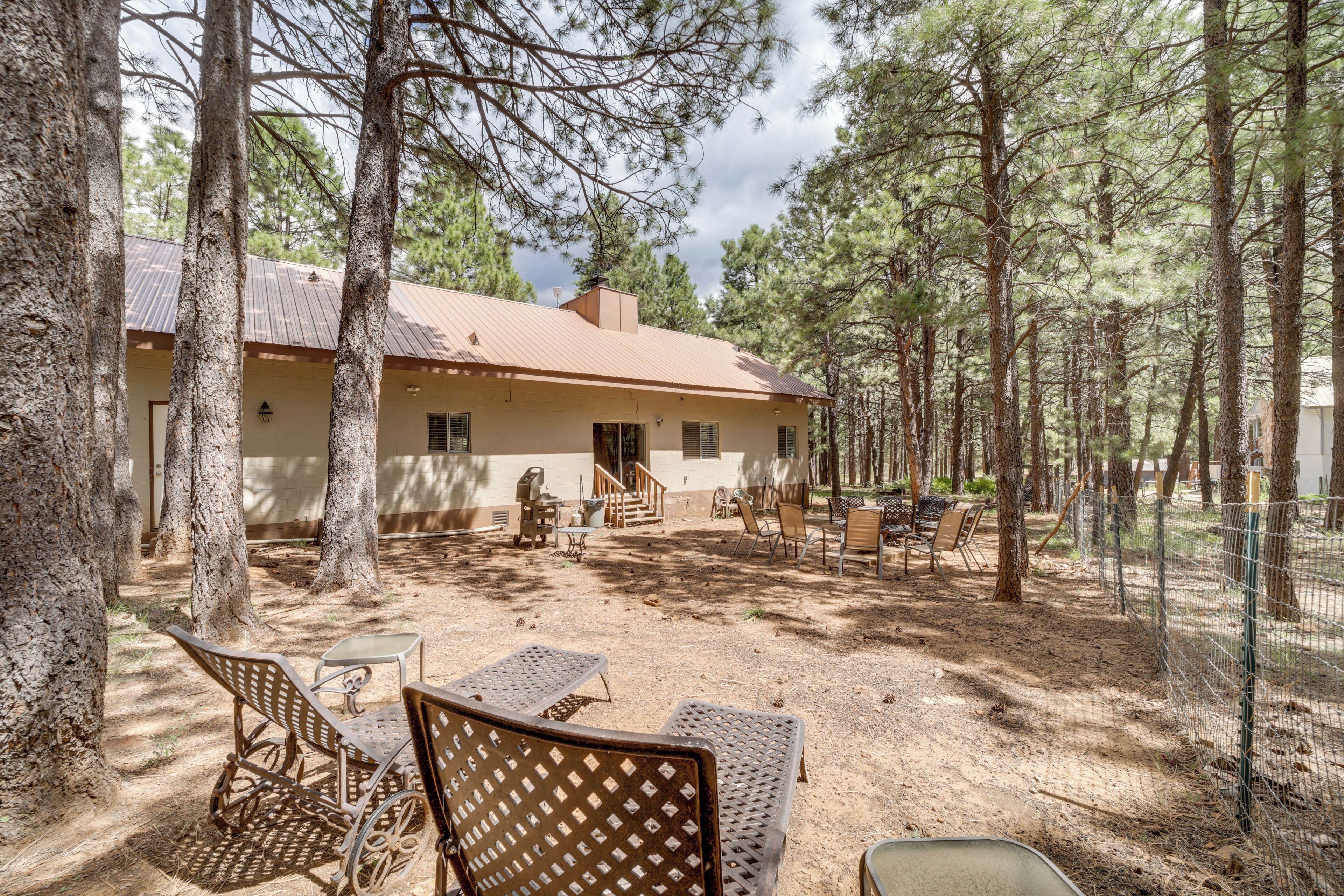 A rustic cabin with a dirt patio, surrounded by tall pine trees.