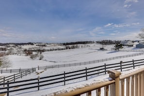 Apartment (0 Bedroom) | Interior