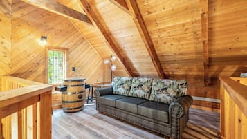 TV, fireplace, video games, offices
