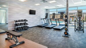 A gym with treadmills, dumbbells, a bench, and exercise machines.