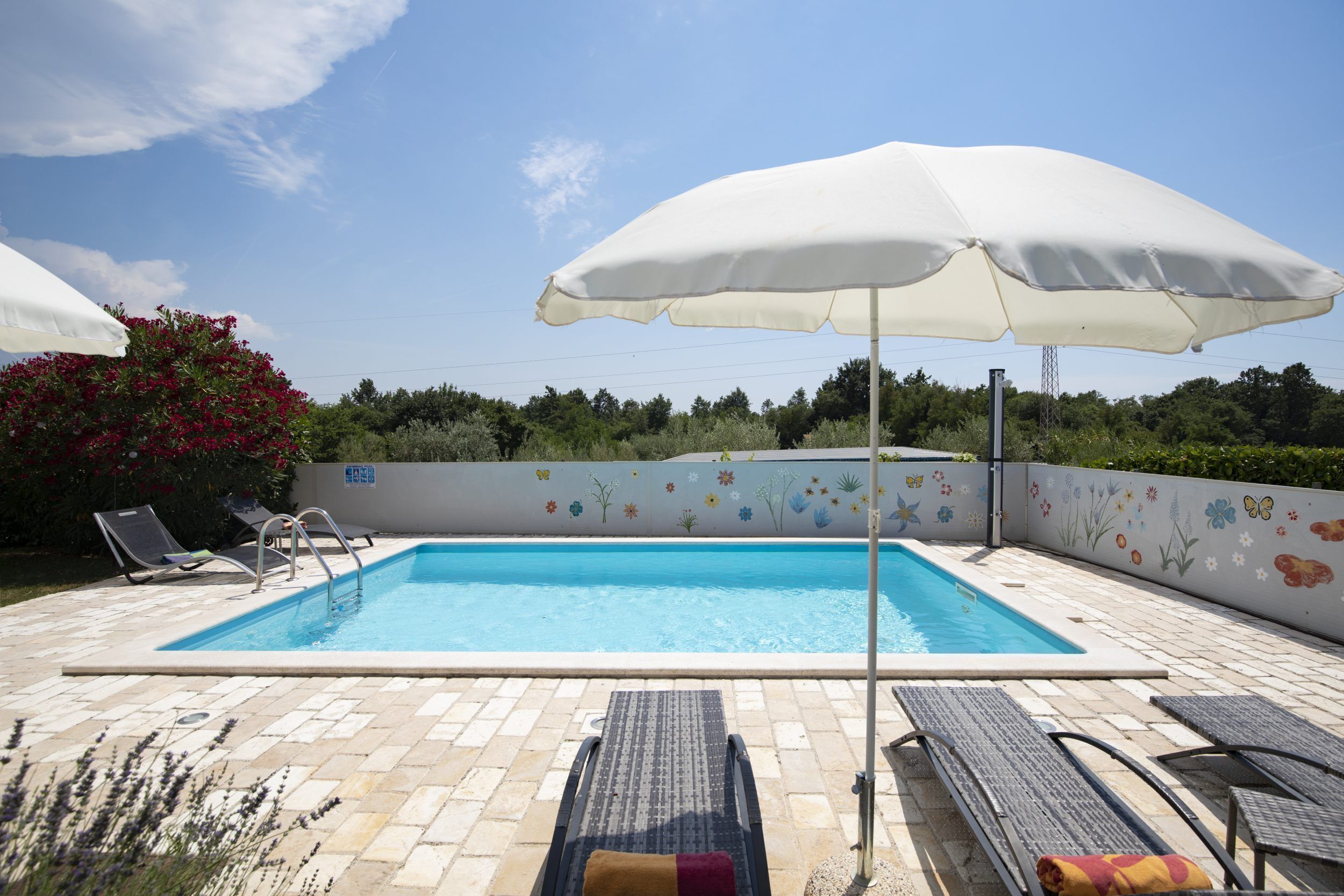 Une piscine rectangulaire avec une terrasse carrelée, entourée de chaises longues et de parasols, et un mur orné de peintures murales florales.