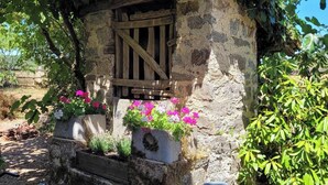 Estructura de piedra con puerta de madera, rodeada de follaje y flores.