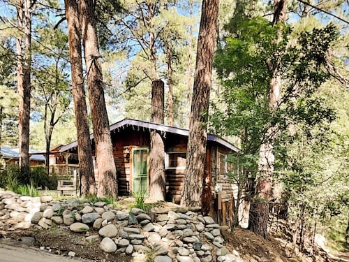 Riverfront! Cozy + Fantastic Midtown Location