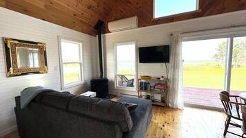 Smart TV, fireplace, books