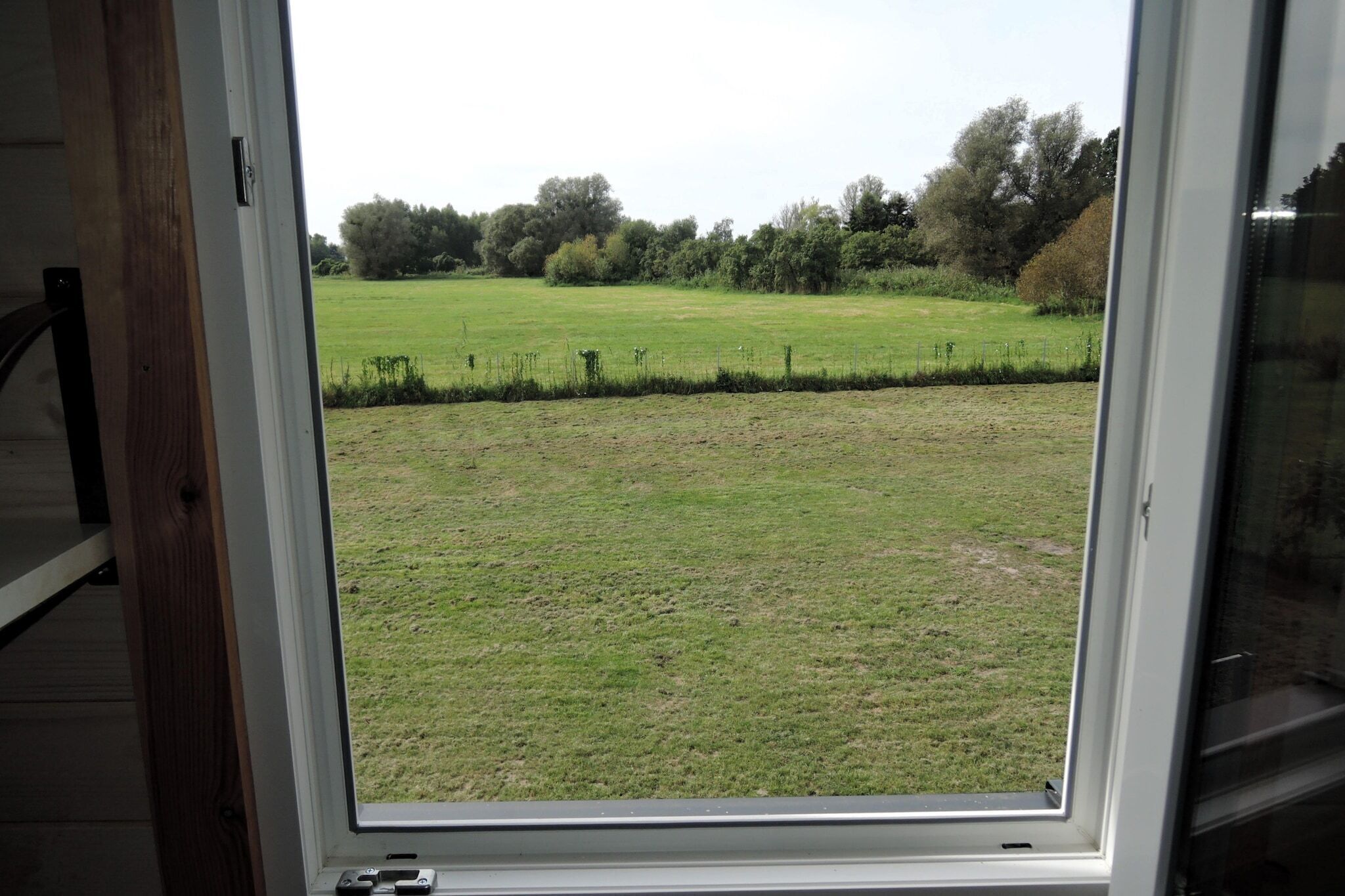 A view through a window of a grassy field with trees in the background.