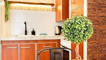 Apartamento | Cozinha privada | Freezer