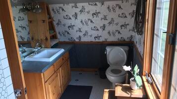 Dusche, Haartrockner, Handtücher