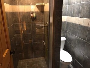 A bathroom with dark tiles, a glass shower enclosure, and a white toilet. - The Snow Goose Lodge (Jamestown)