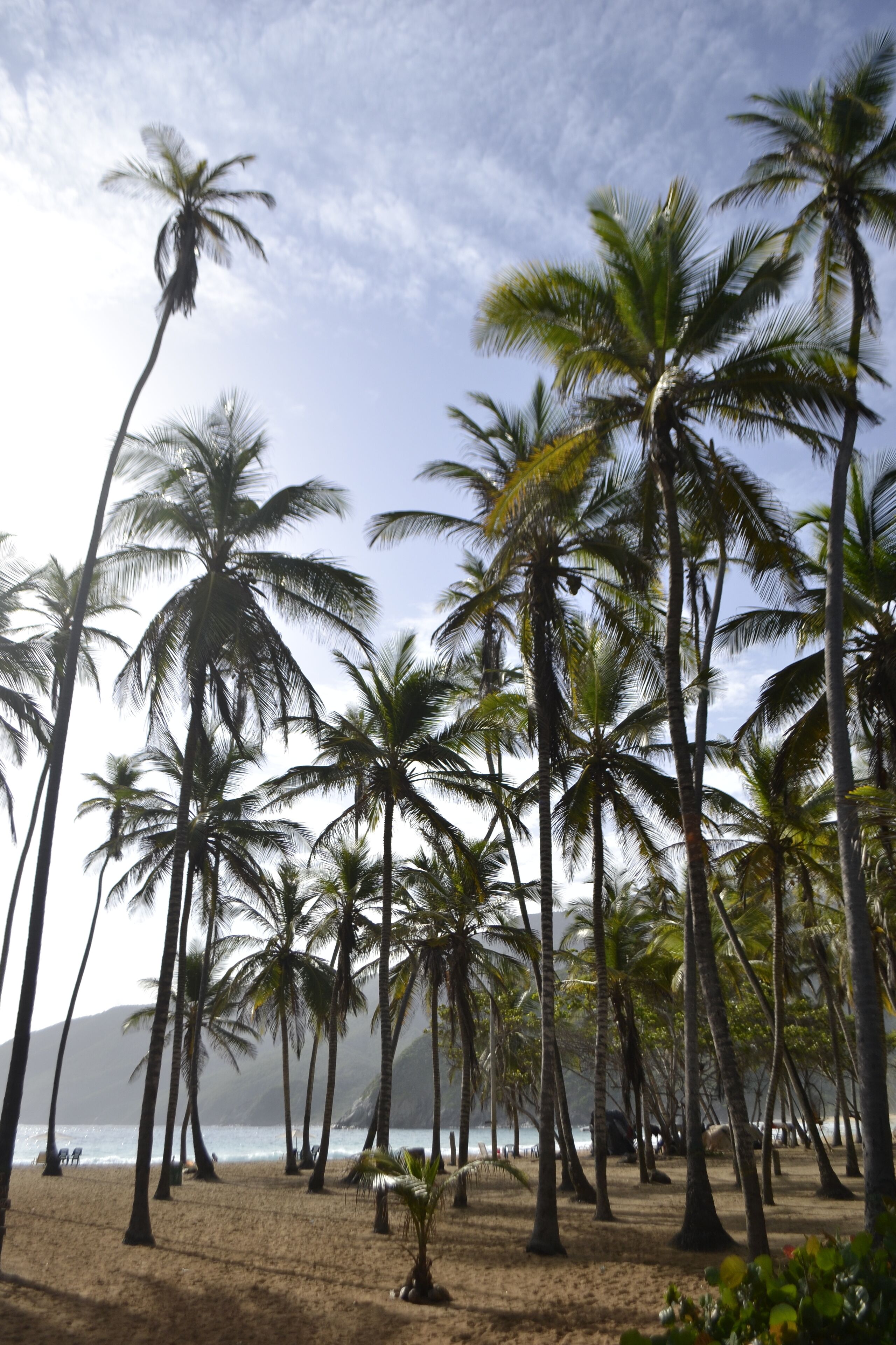 Free beach shuttle, sun loungers, beach umbrellas, beach towels