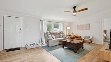 Smart TV, fireplace, books