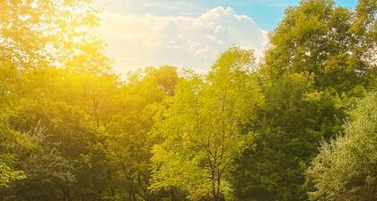 Charming 3-bedroom cabin with Moutain Views, Hottub, Barrel Sauna in Shenandoah.