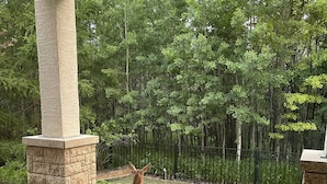 A deer standing on a paved area with a stone pillar and a fence in the background. - Charming 3-bedroom home with AC, WiFi and a sofa bed in fantastic Calgary (Calgary)