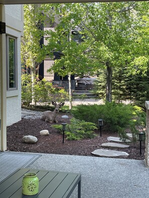 A patio with a table, a decorative vase, and a garden with rocks and plants. - Charming 3-bedroom home with AC, WiFi and a sofa bed in fantastic Calgary (Calgary)