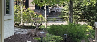 Charming 3-bedroom home with AC, WiFi and a sofa bed in fantastic Calgary
