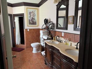 Shower, jetted tub, hair dryer, towels