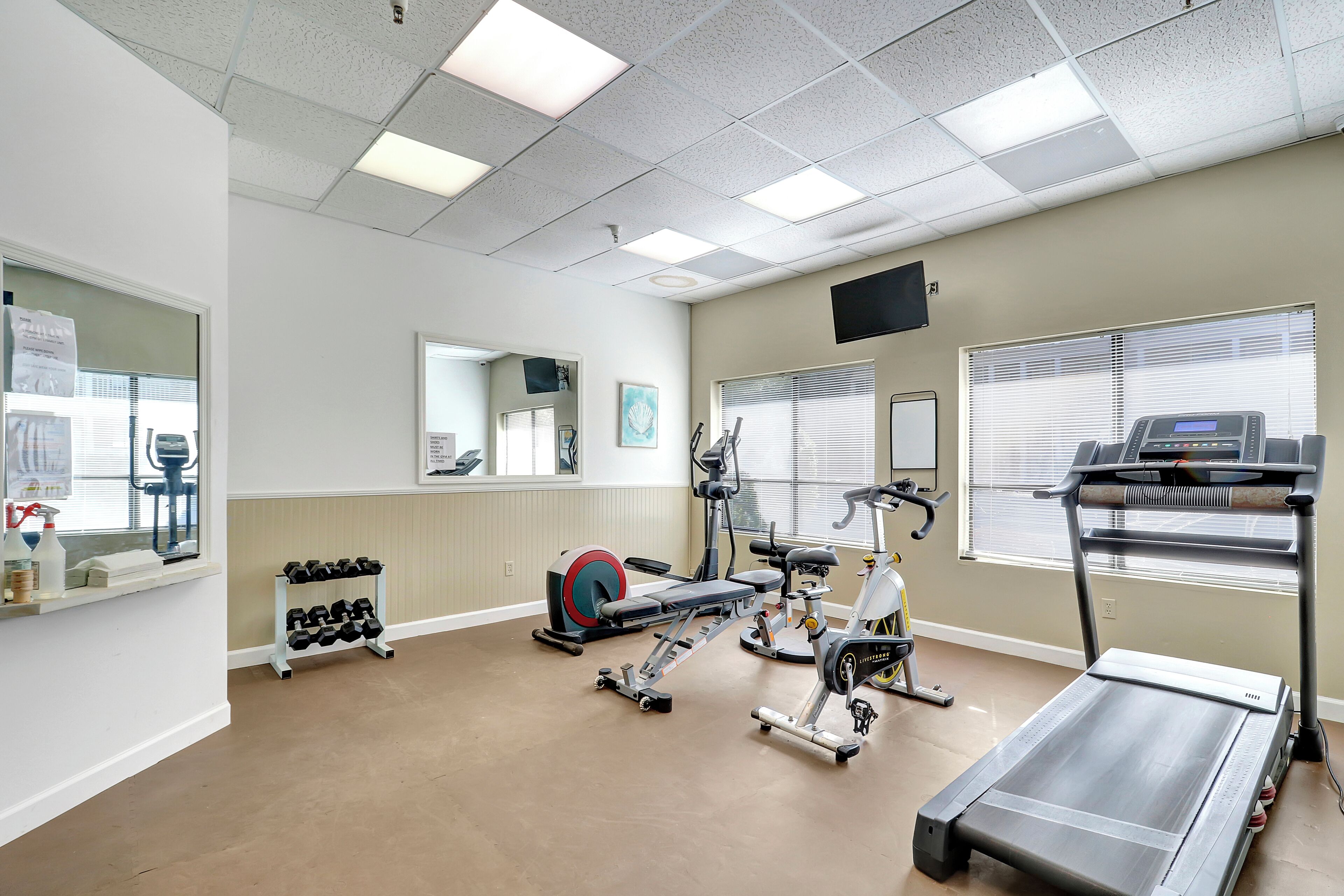 A gym with treadmills, stationary bikes, and dumbbells.