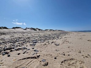 A beach with scattered rocks and dunes in the background. - 4 Star Holiday Home in Ulfborg (Ulfborg)