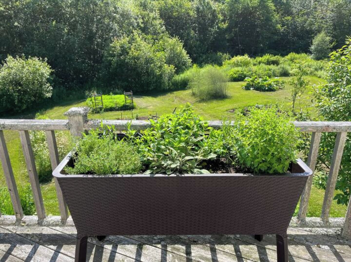 Un balcon agrémenté d’un jardinière en osier remplie de plantes vertes, donnant sur un jardin luxuriant avec différents arbustes et une pelouse.