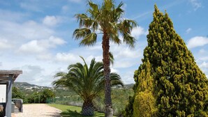 Un vialetto lastricato conduce a un edificio con una pergola, circondato da palme e un alto conifero.