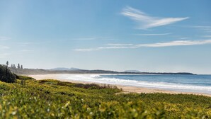 Una playa con olas, vegetación y montañas a lo lejos.