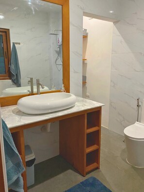 Shower, hair dryer, bidet, towels