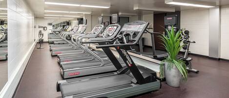 A gym with multiple treadmills, mirrors, and a potted plant.