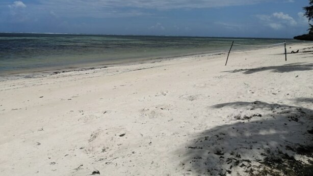 Een strand met helder water en een zandstrand.